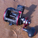 Line Counter Horizontal Trolling Reel 3+1 SS Bearings