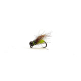 Tungsten-Headed Euro Nymph