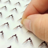 Simulated Fly Wing