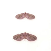 Mayfly Wing