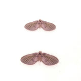 Mayfly Wing