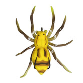 Hollow Body Spider Lure