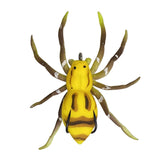 Hollow Body Spider Lure