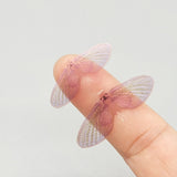 Mayfly Wing