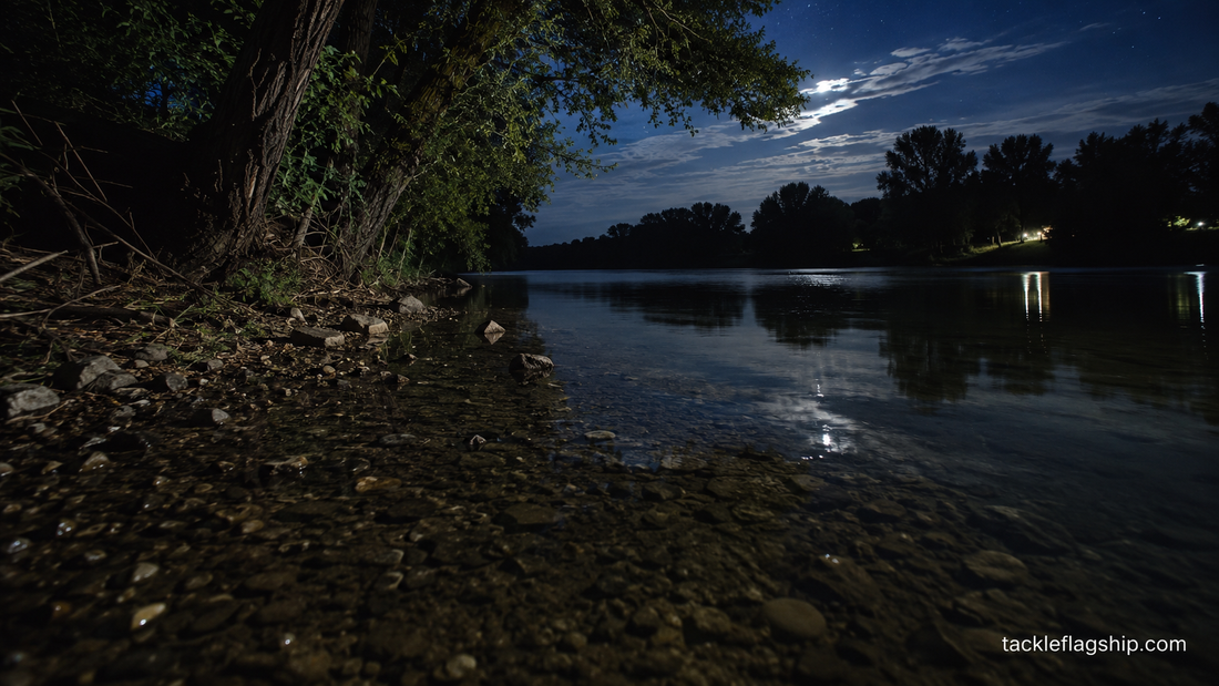 Best Bait for Channel Catfish at Night (What Actually Works in Summer Rivers)
