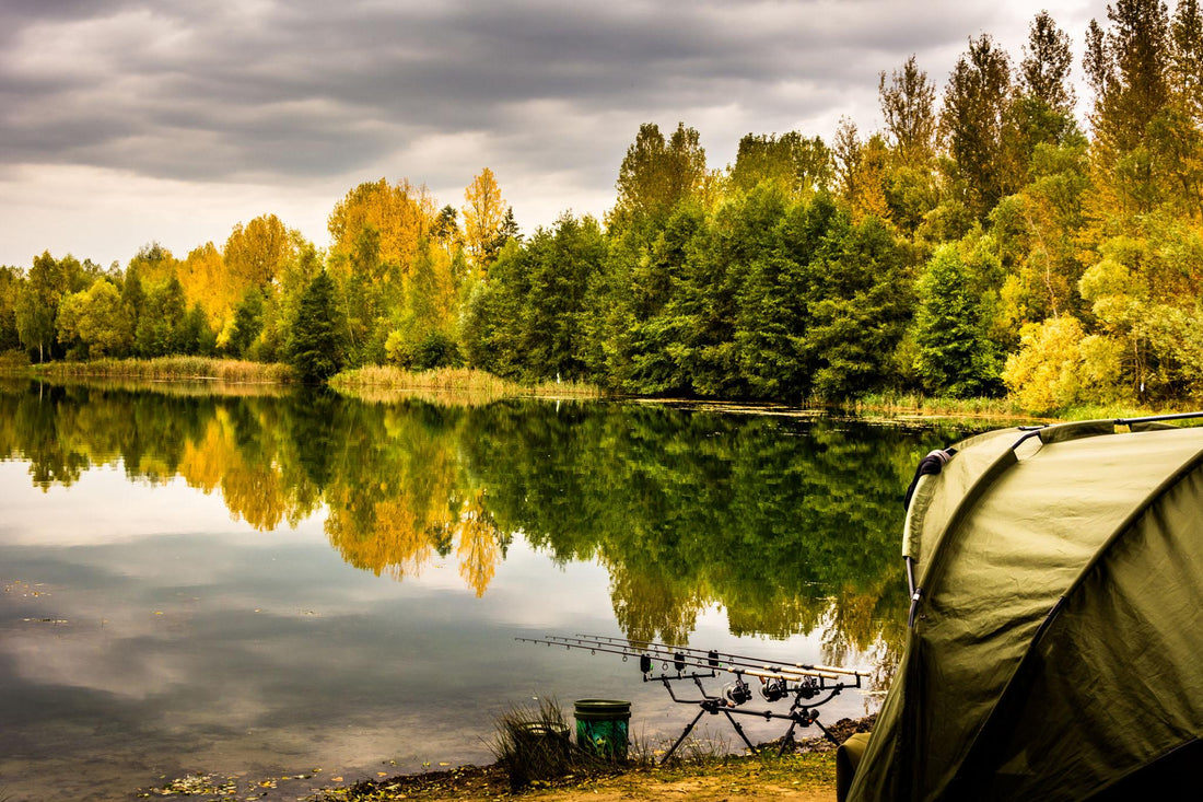 How to Catch Carp in Autumn: What One October Session Taught Me