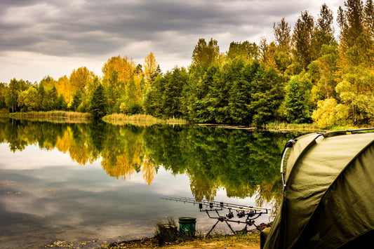 How to Catch Carp in Autumn: What One October Session Taught Me