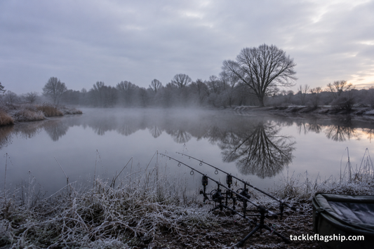 How to Catch Carp in Winter: What a Cold January Session Taught Me