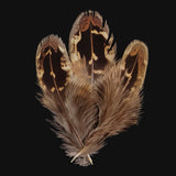 Hen Feathers