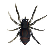 Hollow Body Spider Lure
