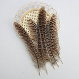Hen Pheasant Tail Feathers