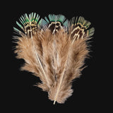 Hen Feathers